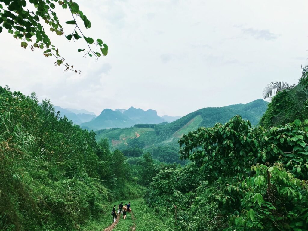 Marcheurs sur un chemin entouré de collines verdoyantes et de montagnes