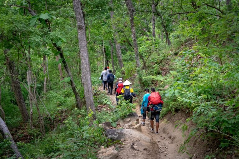 Groupe de randonneurs sur un sentier forestier pendant un trek